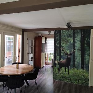 Bungalow In Het Bos